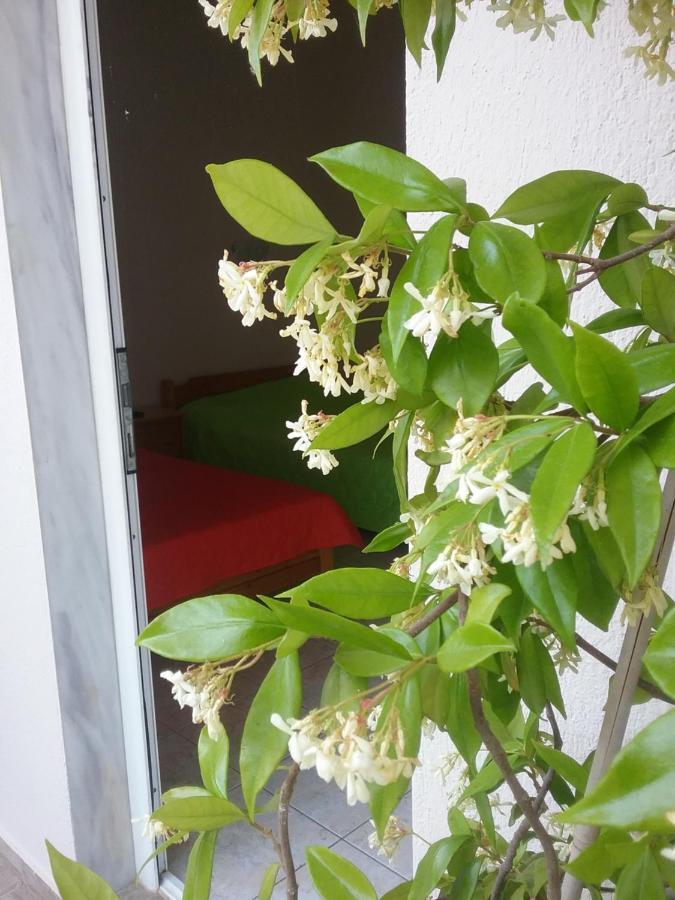 Apartments Christina Βρασνά Εξωτερικό φωτογραφία